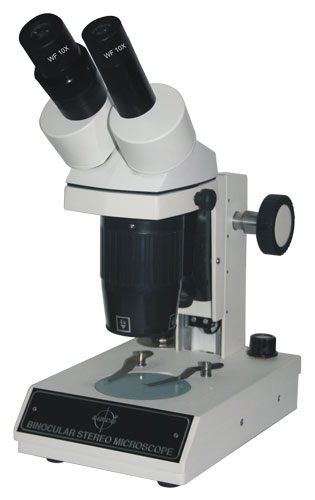 Stereo Microscope