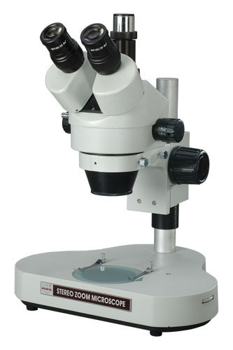 Stereo Zoom Microscope