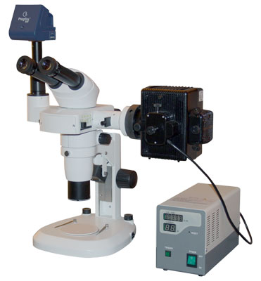 Accessories For Stereo/Stereo Zoom Microscope
