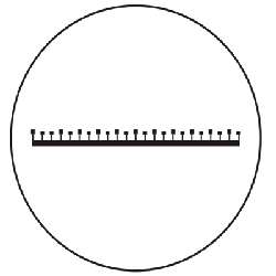 Scale Patterns of Contact Reticules Linear Scales